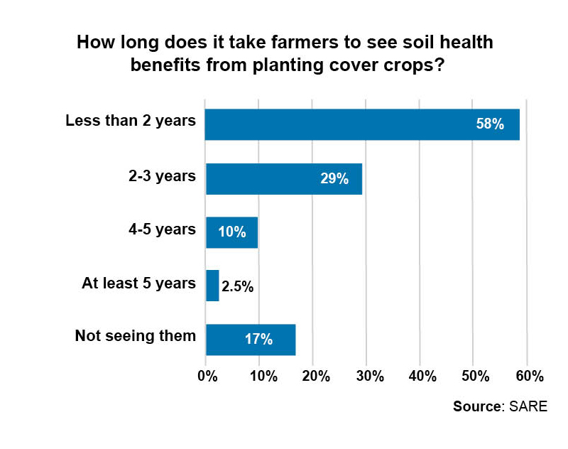 Making cover crops pay off: what it takes to cover the cost | Agri